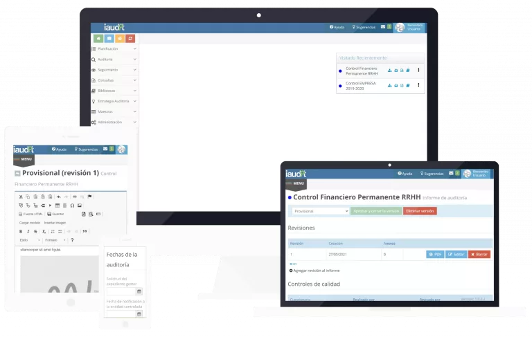 IAUDIT es una herramienta muy completa que agiliza muchos de los aspectos a cubrir durante el proceso de una auditoría pública.